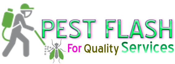Application Logo